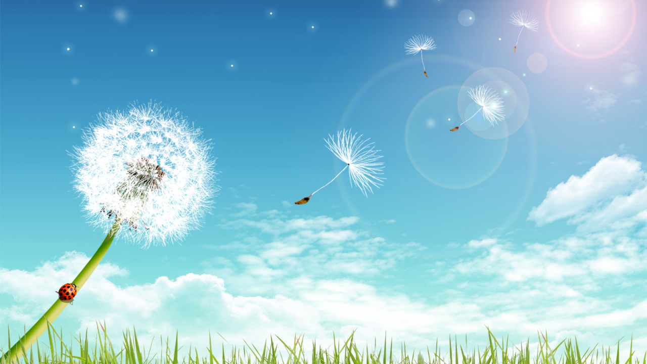 Летний день