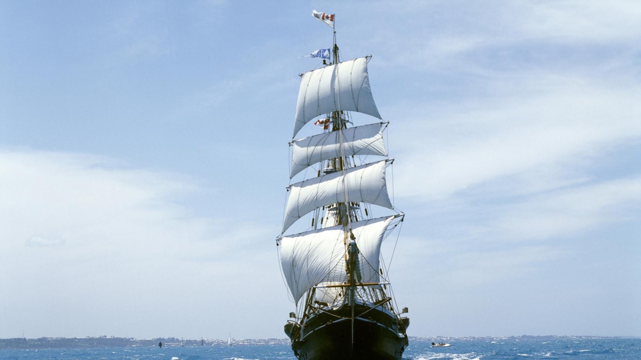 Белые паруса