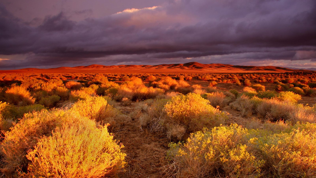 долина Antelope