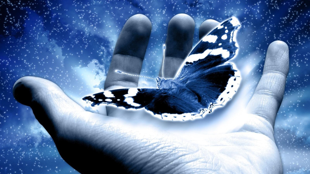 Бабочка в руке