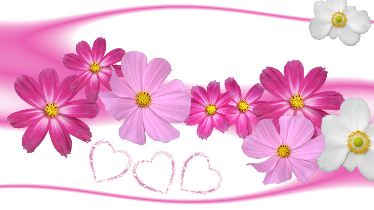 Цветы и сердца