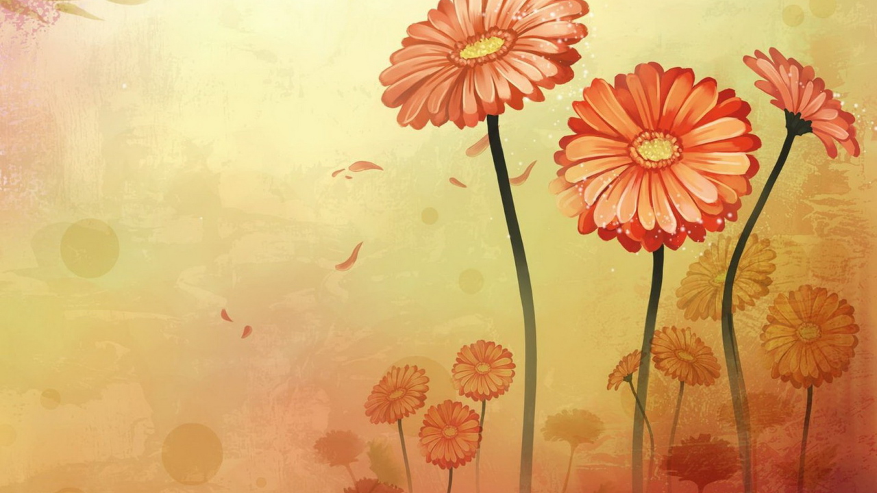 Оранжевые цветы