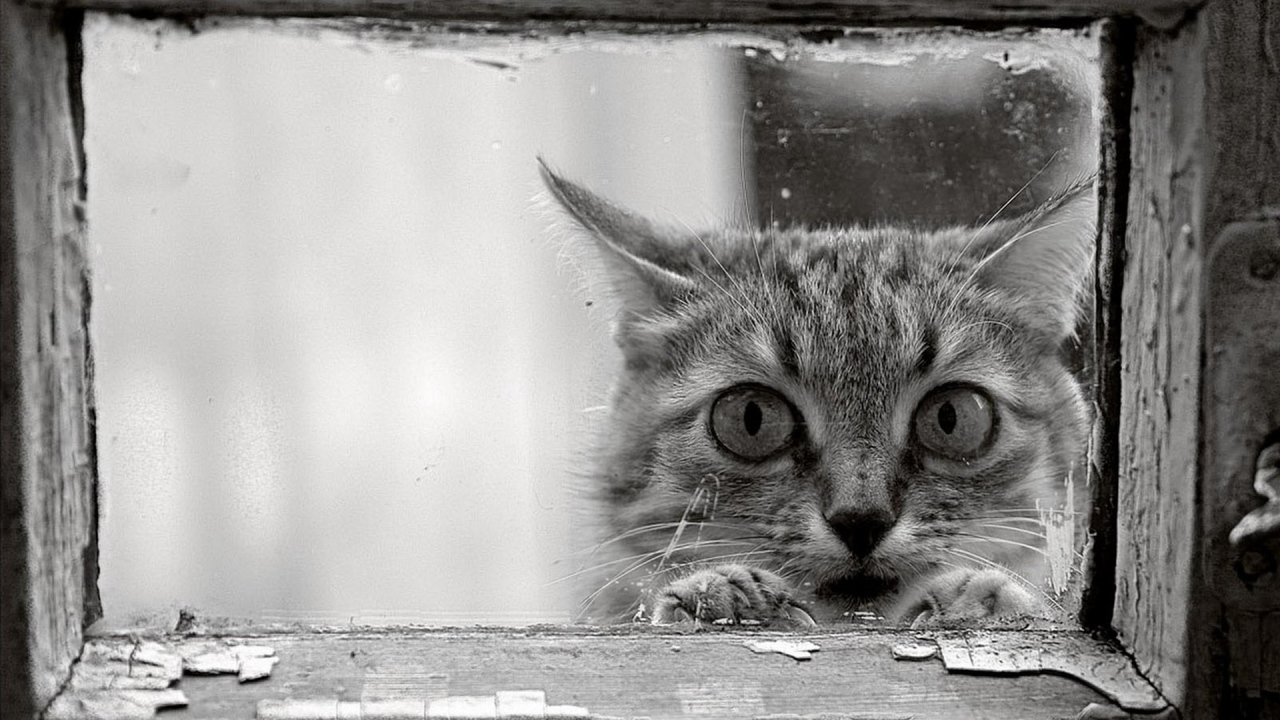 Возле окошка