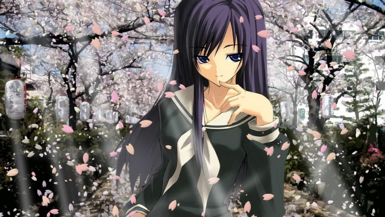 В цвете сакуры