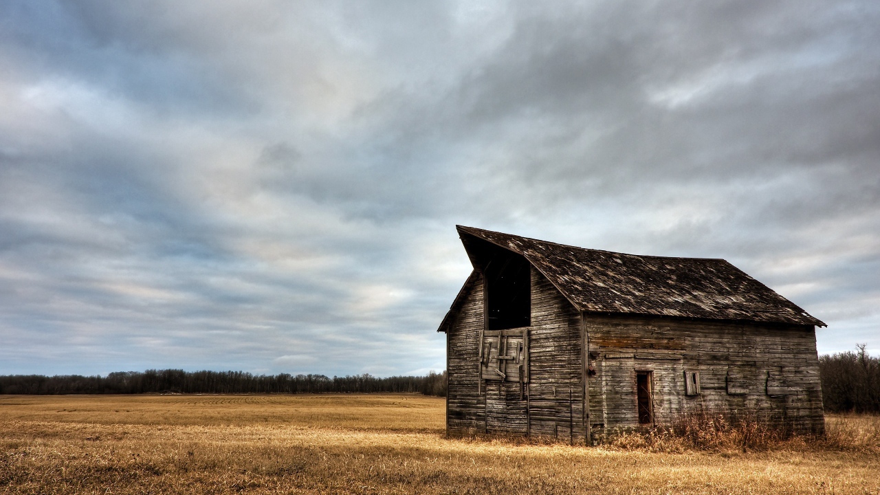Сарай в поле