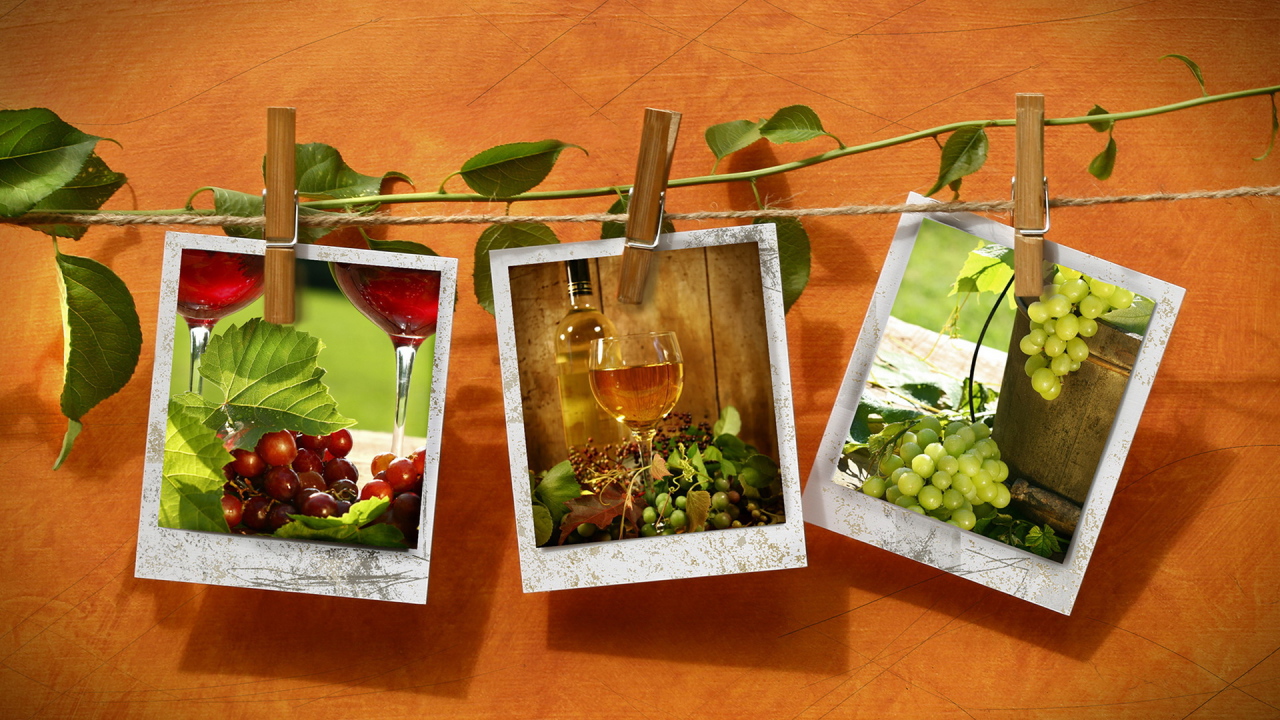 Фотографии