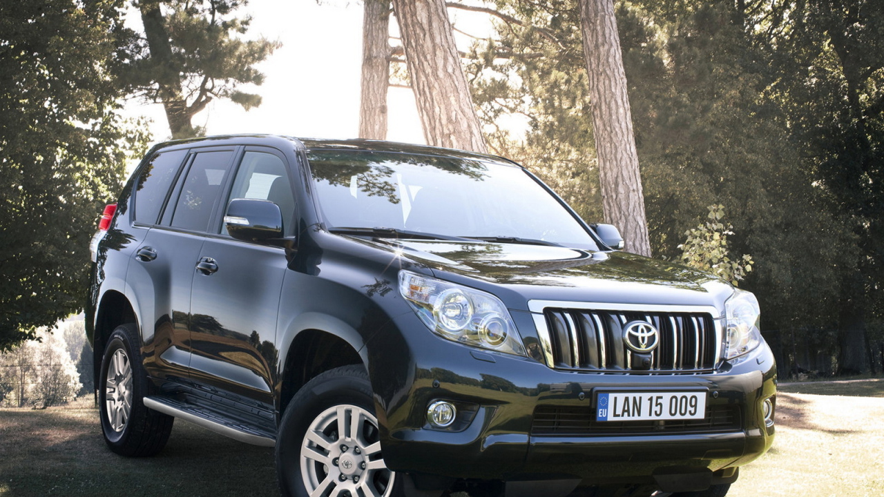 Тойота Лэнд Крузер в лесу