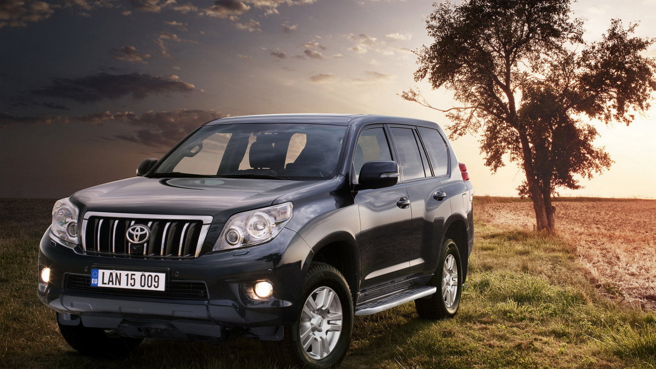 Toyota Land Cruiser возле дерева