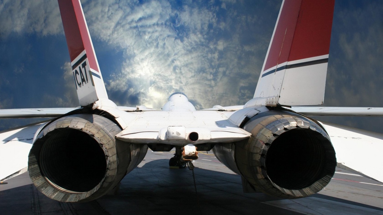 Реактивная, птичка