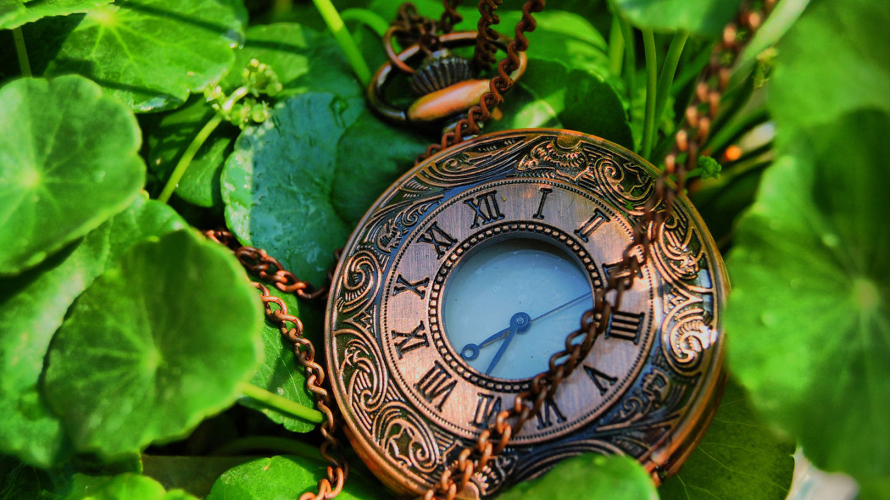 Карманные часы