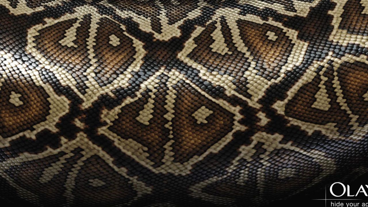 Змеиная кожа