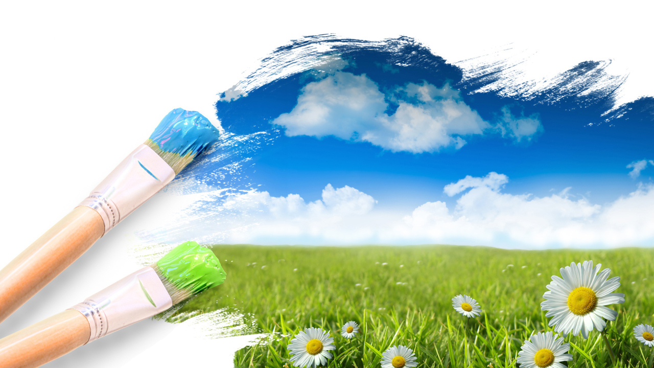 Полевые цветы