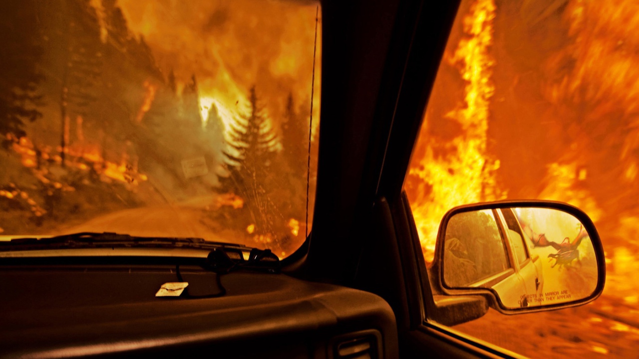 Лесной пожар