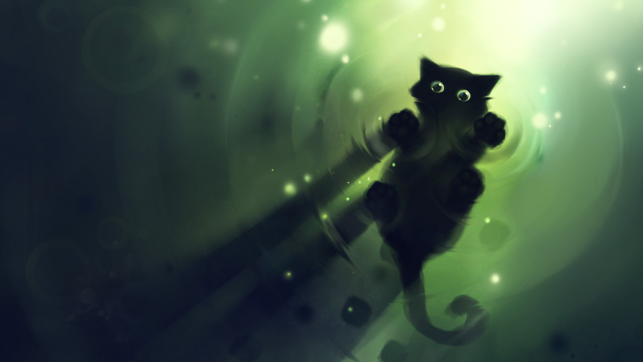 Надводный кот