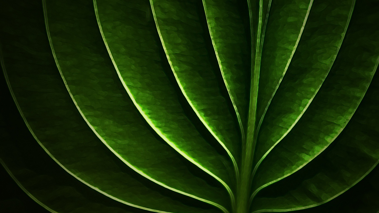 Неоновый листик