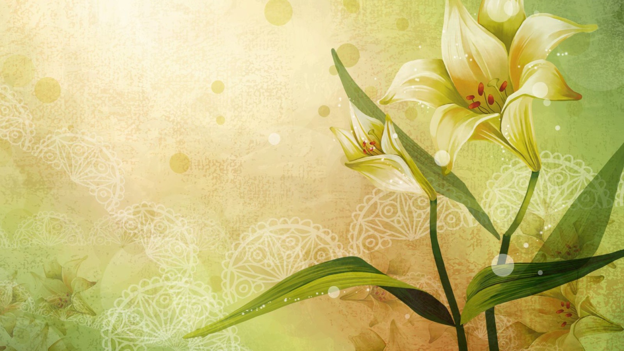 Рисованная лилия