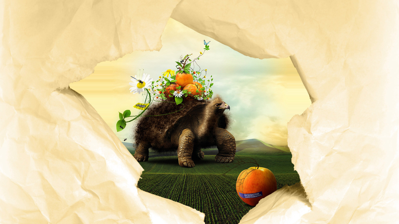 Черепаха и персики