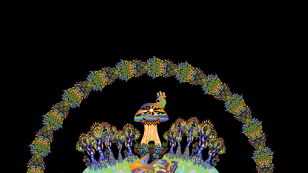 Грибной день