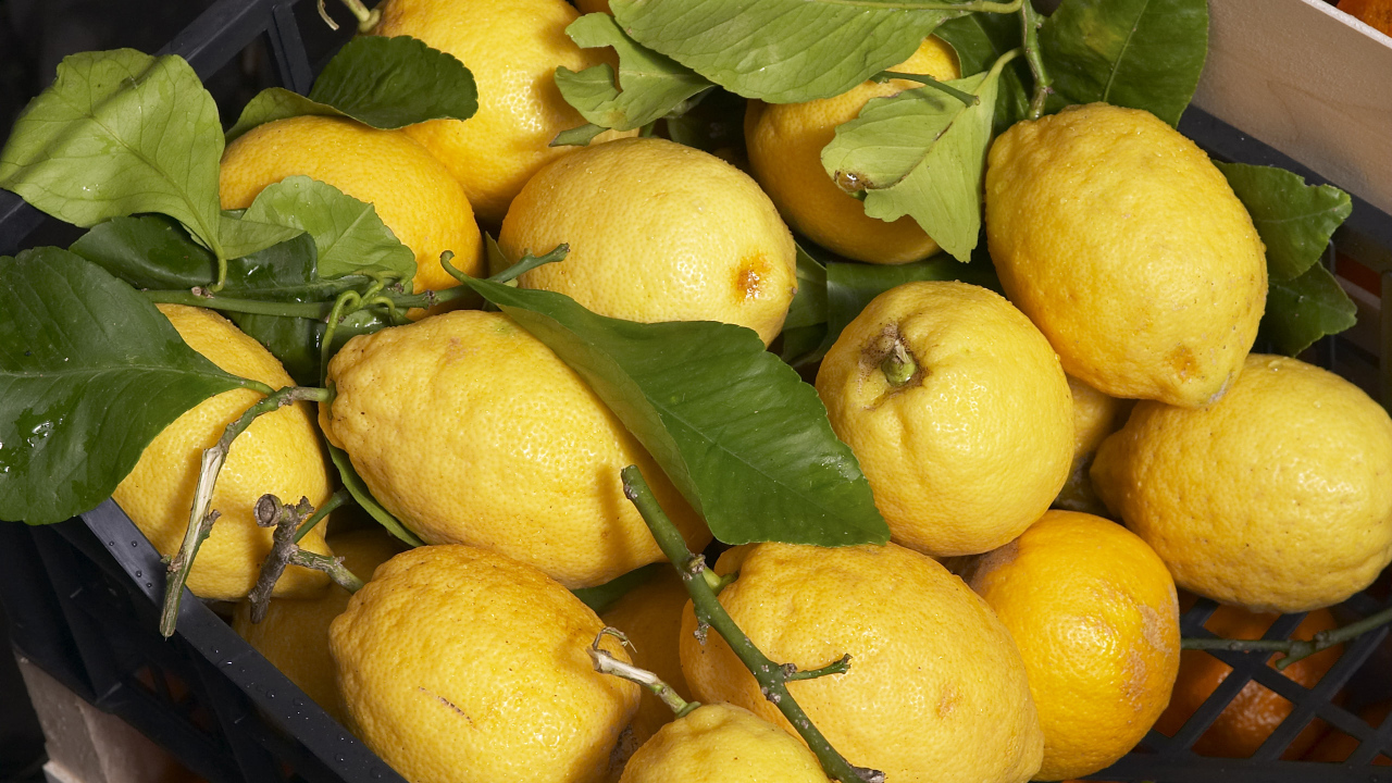 Свежие лимоны
