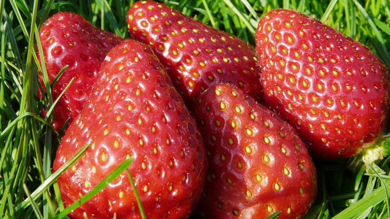 Спелая клубника