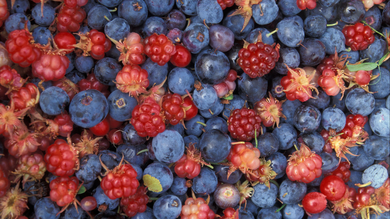 Лесное ассорти