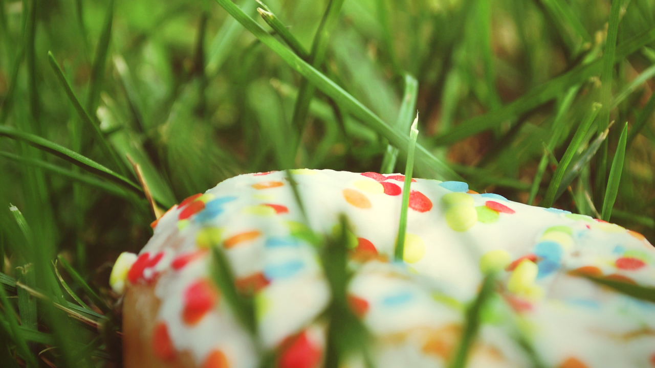 Потерянный пончик