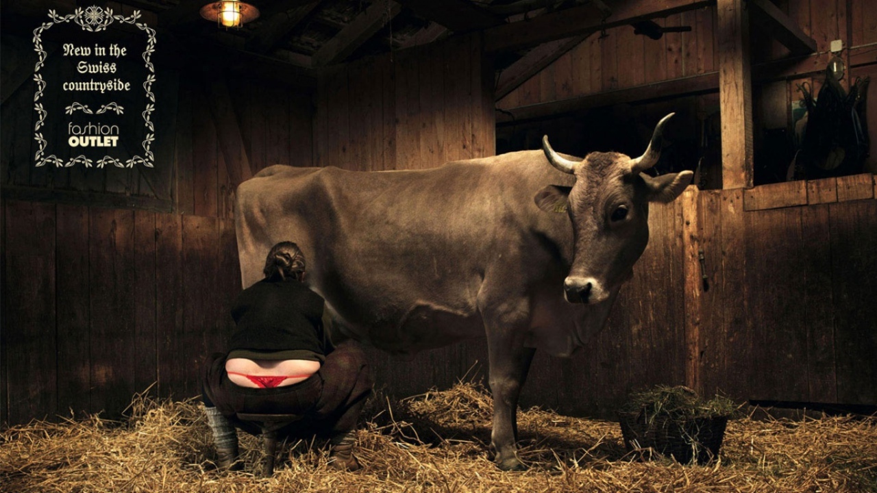 Корова молоко доярка