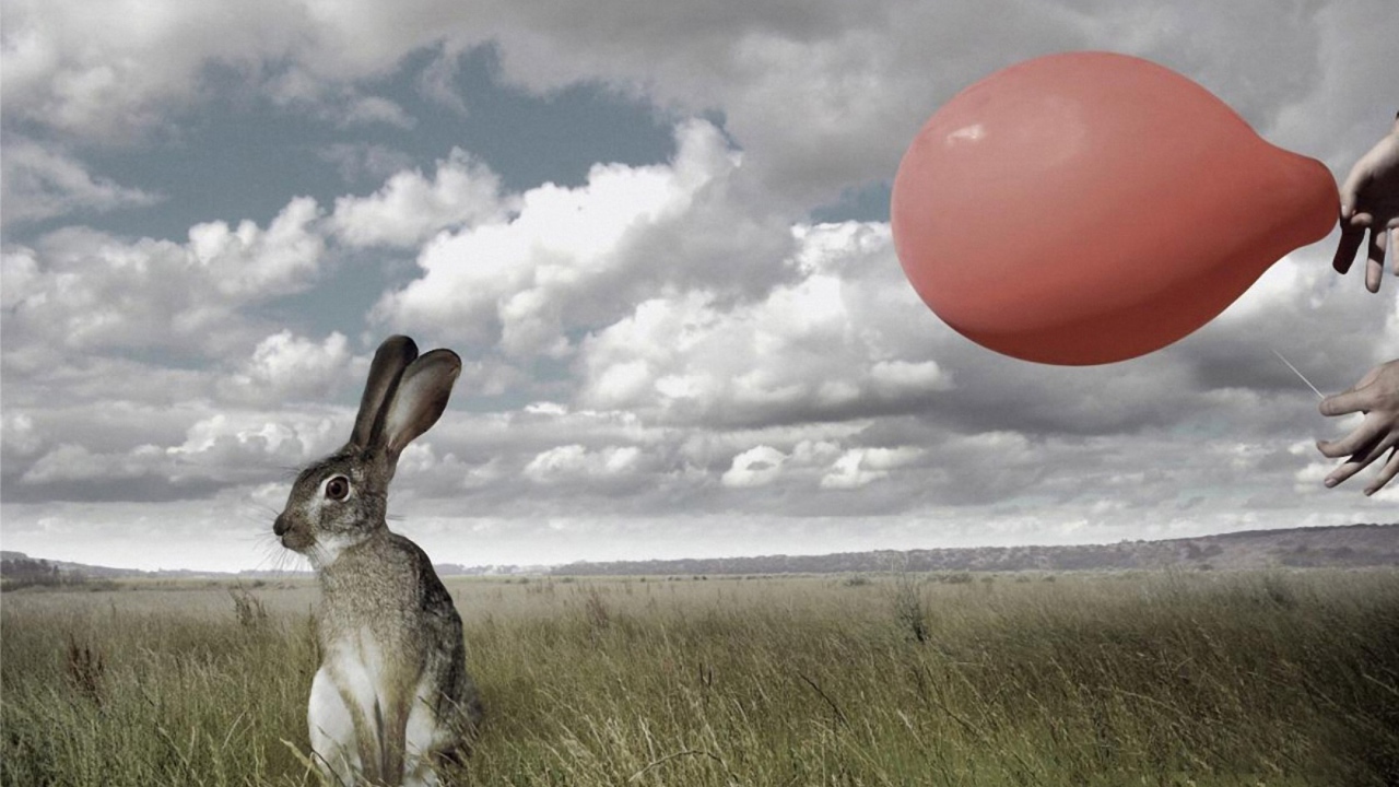 Мгновение до испуга