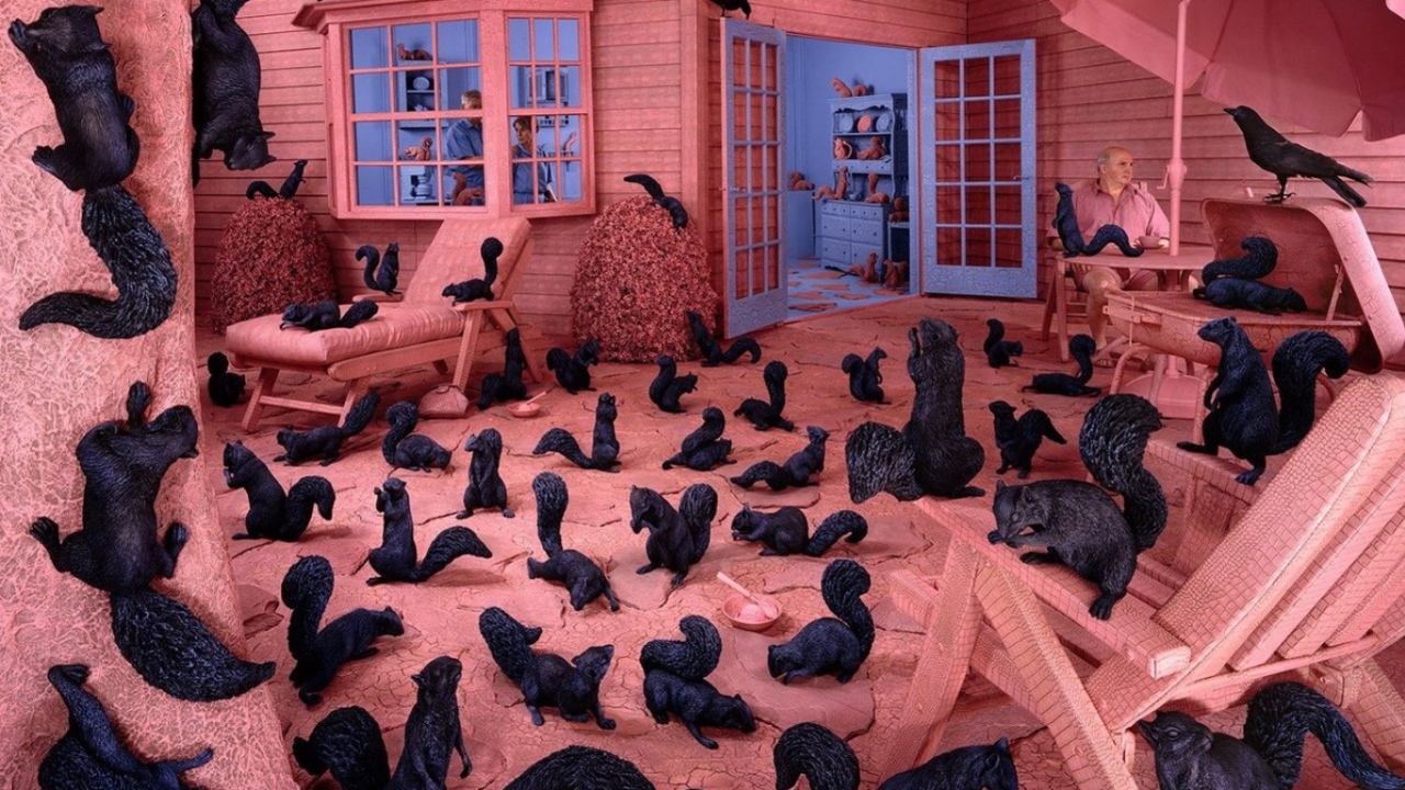 Розовая комната с белками