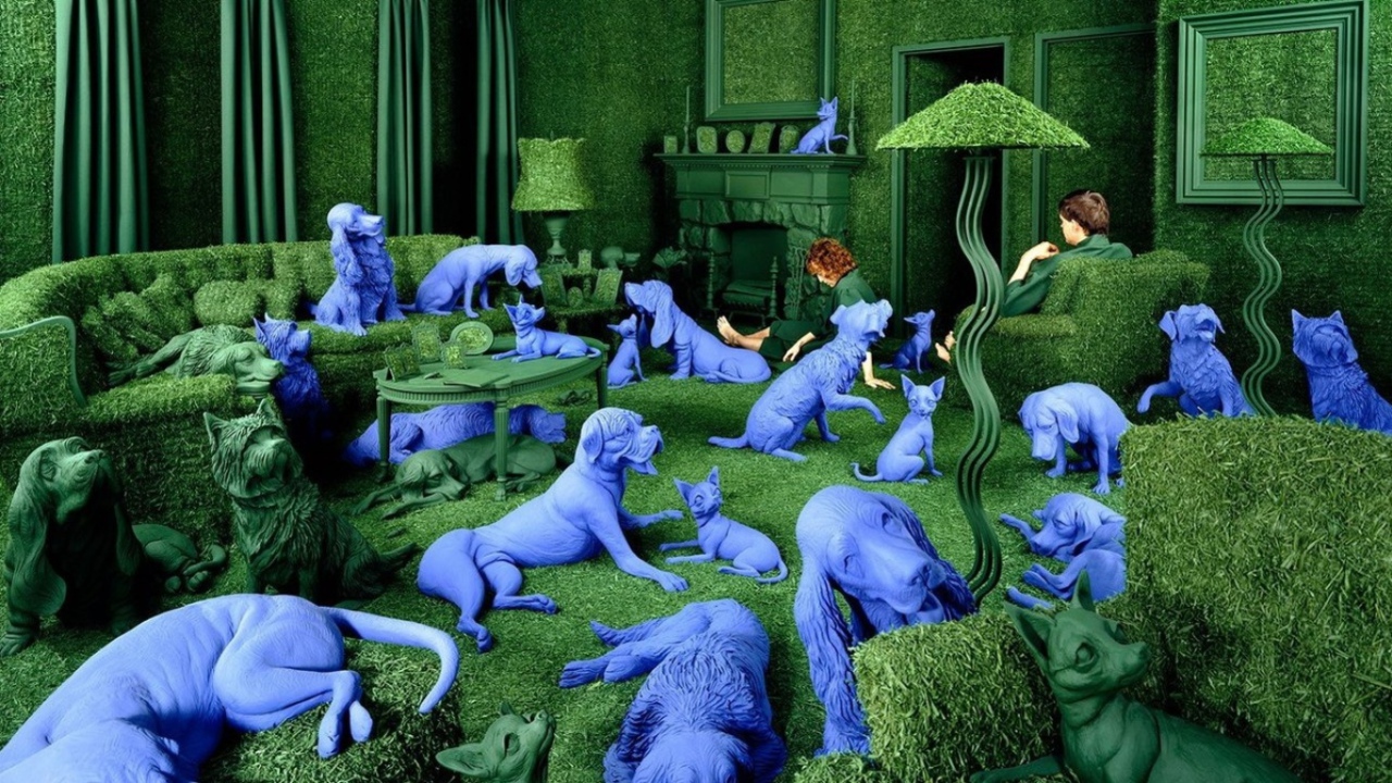 Зеленая комната с собаками