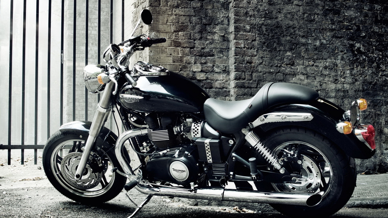 Triumph Speedmaster 2010