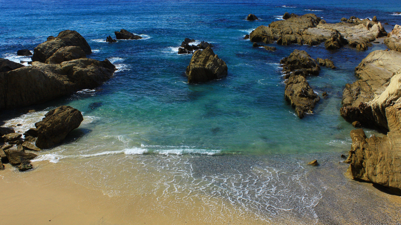 На берегу моря