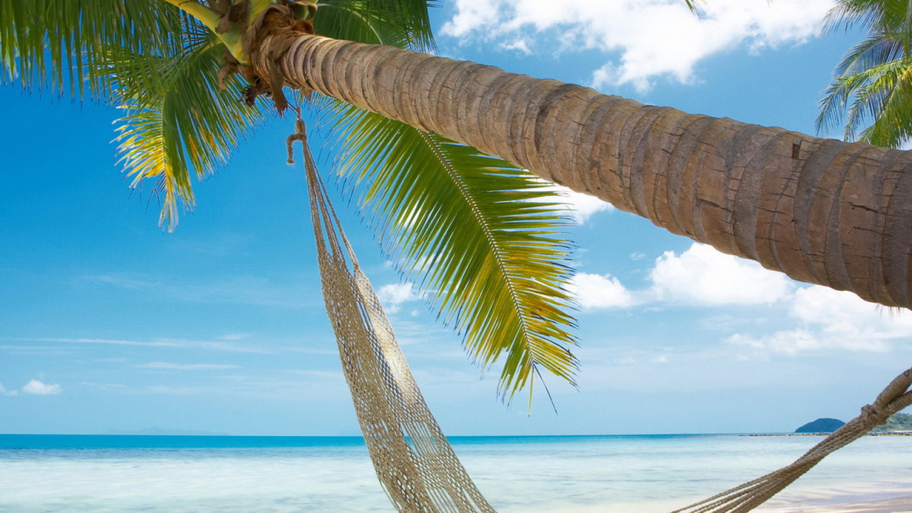 Гамак на берегу океана