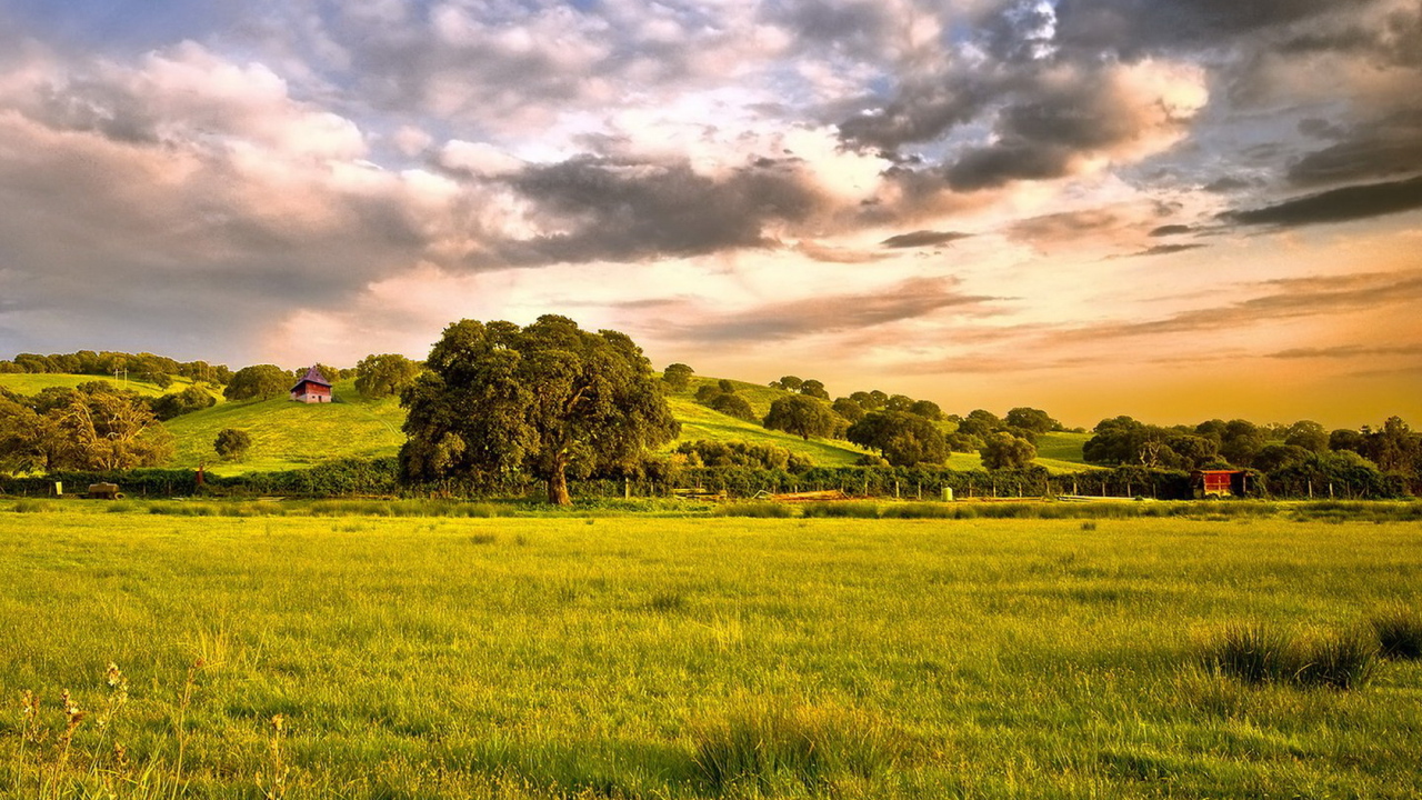 Зеленые просторы