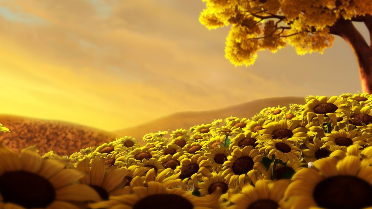 Страна подсолнухов