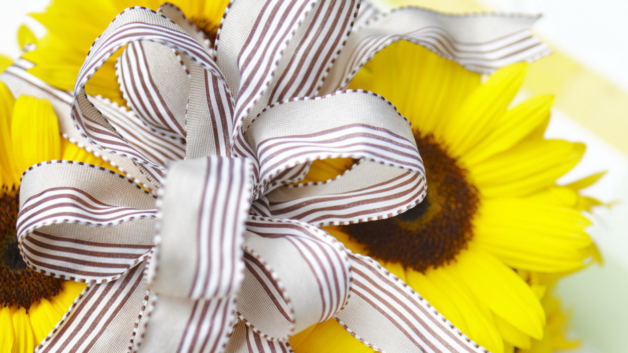 Солнечный подарок