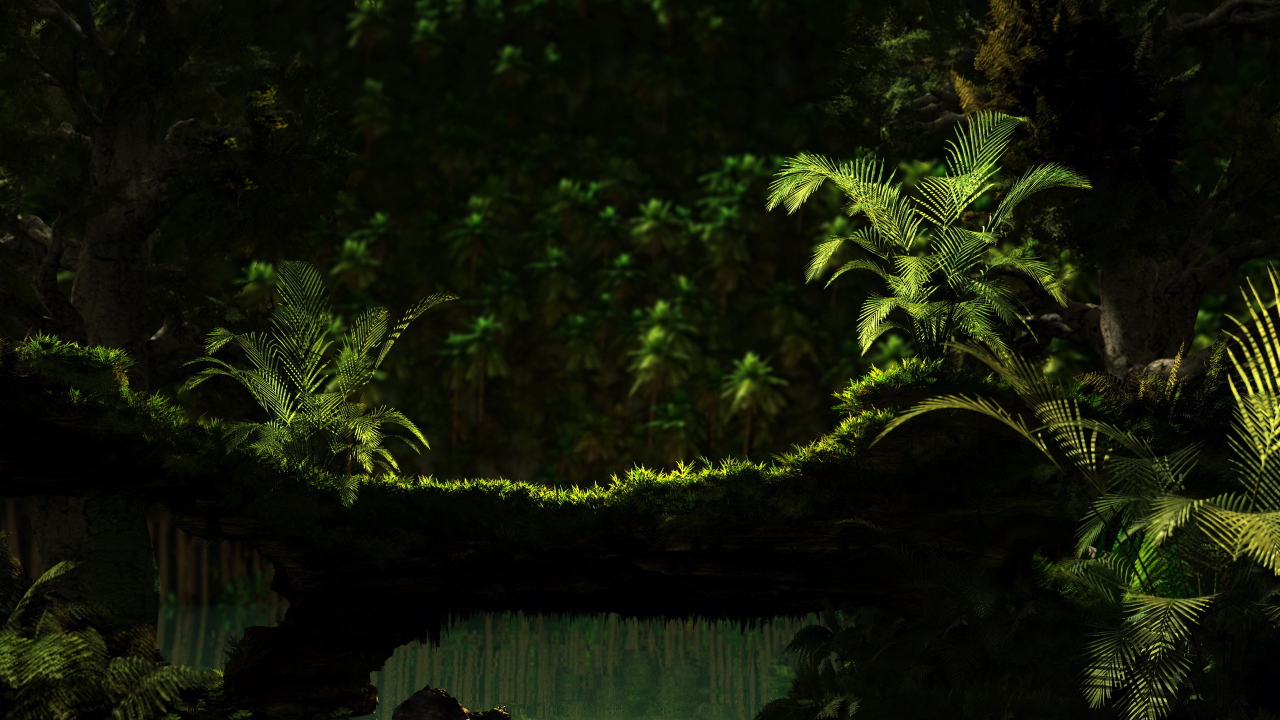 Тропический лес