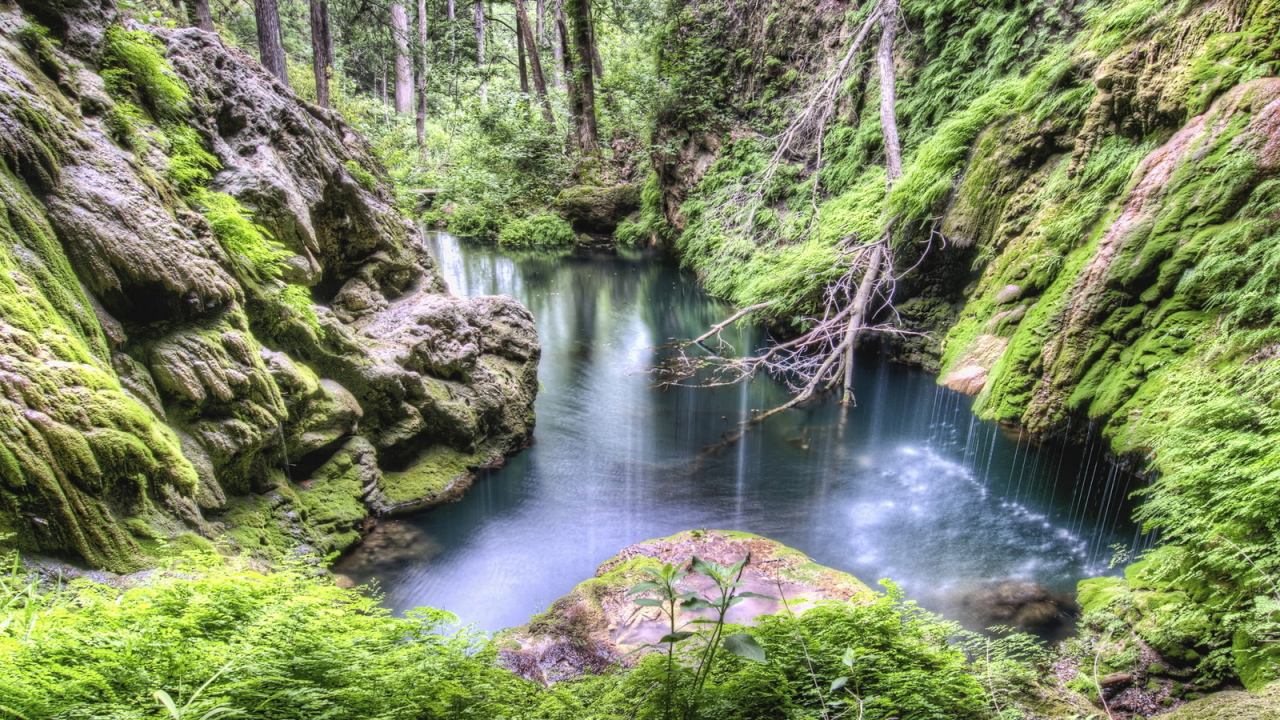 Лес, каменные склоны, ручей