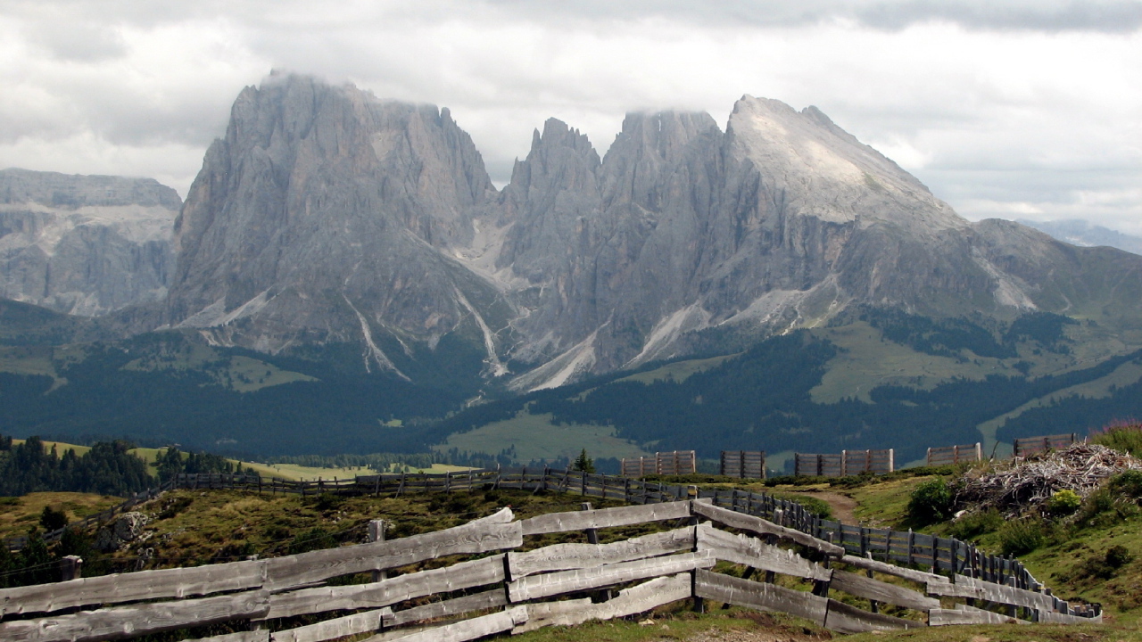 Забор уходящий ввысь