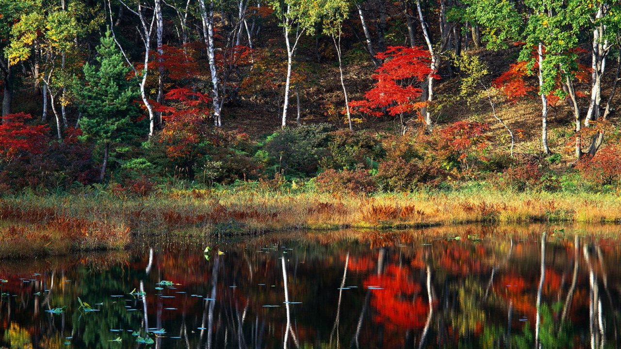 Пейзаж осени