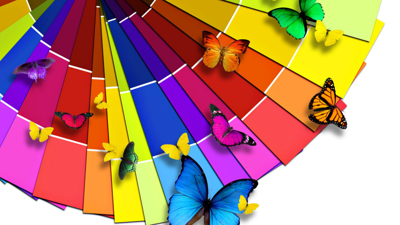 Разноцветные бабочки