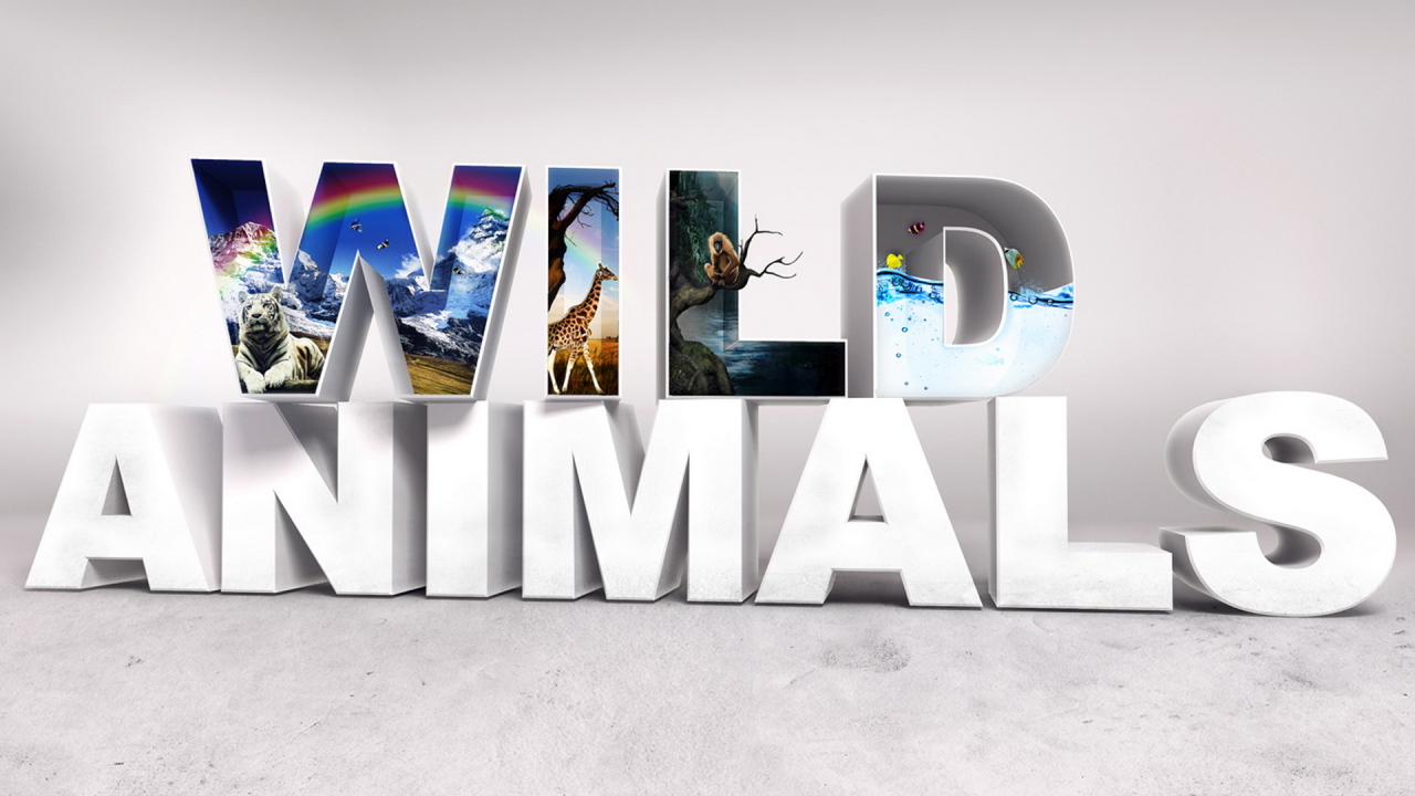 Дикие животные