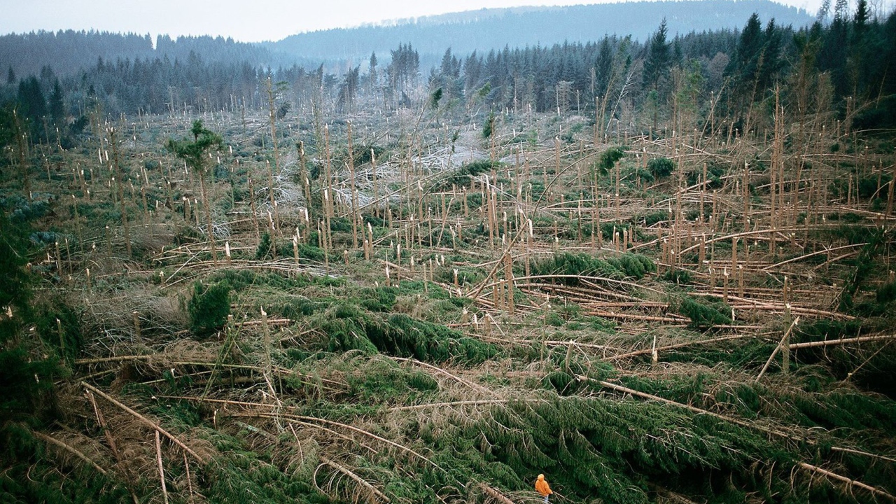 После урагана во Франции