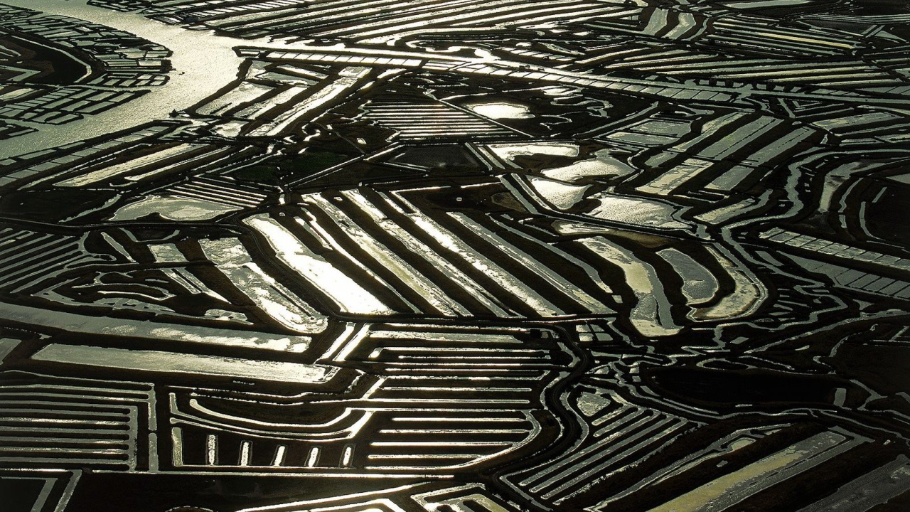 Устричные фермы