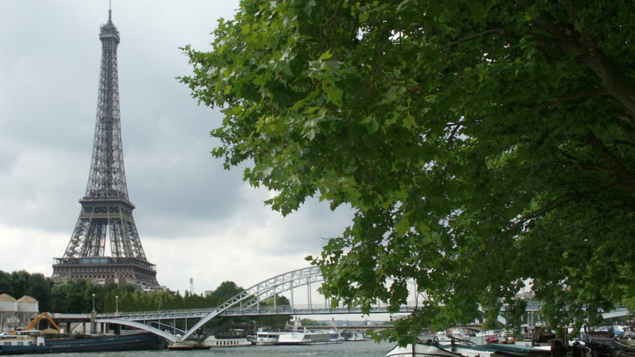 Вид на башню Париж