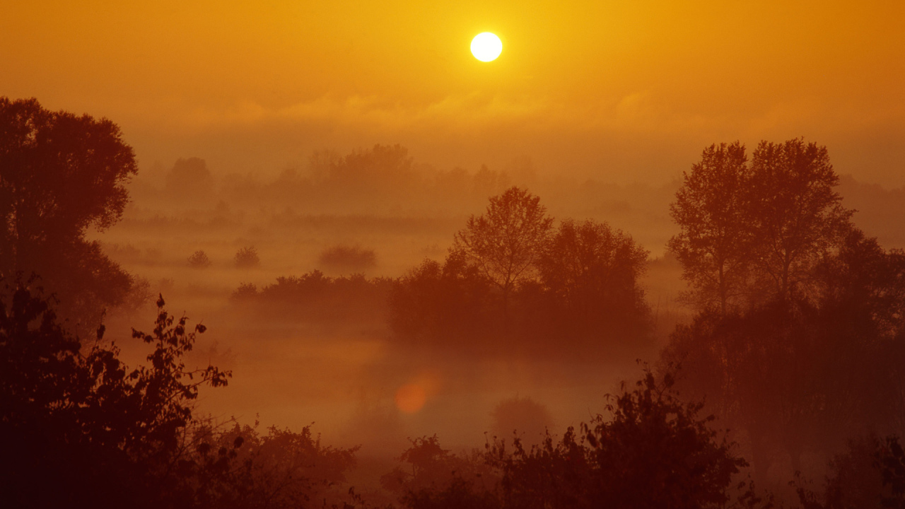 Туман на закате