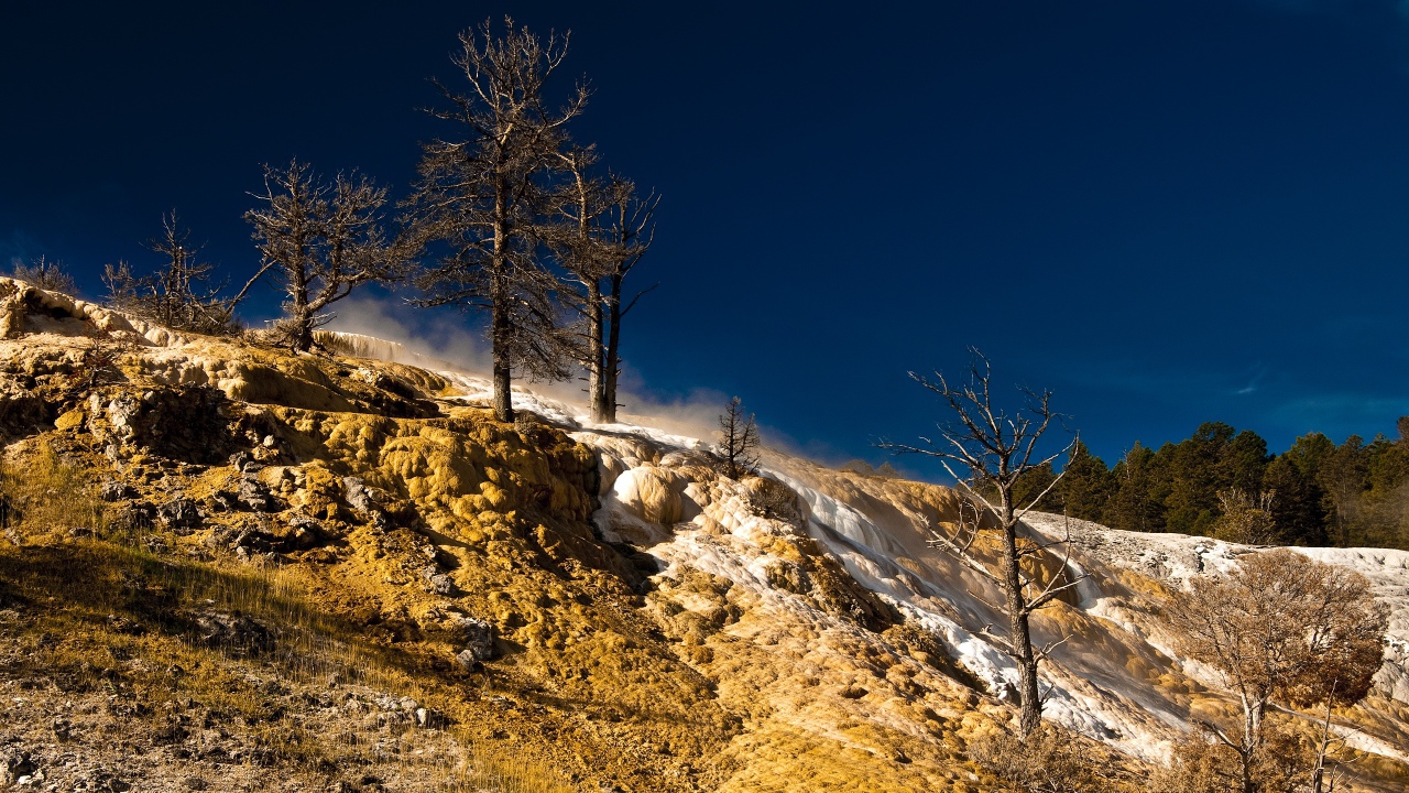 Природа в Йеллоустоуне США