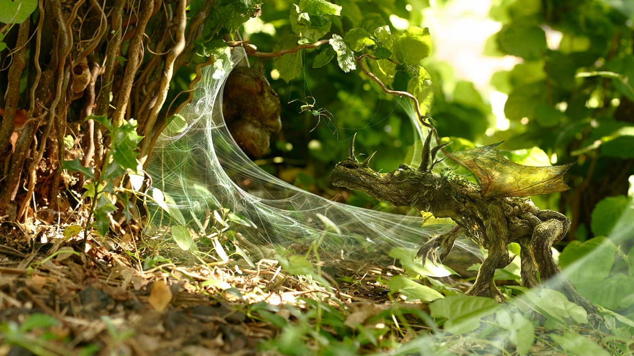 Маленький дракон