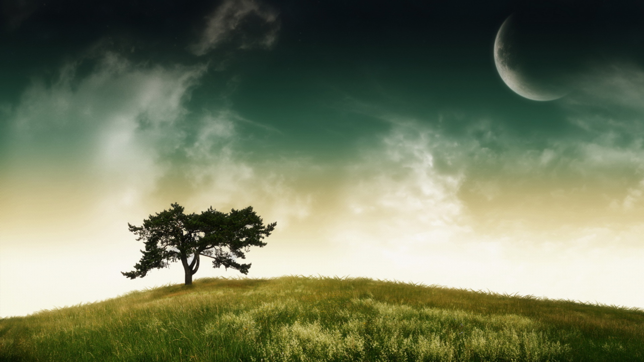 Дерево, небо, планета
