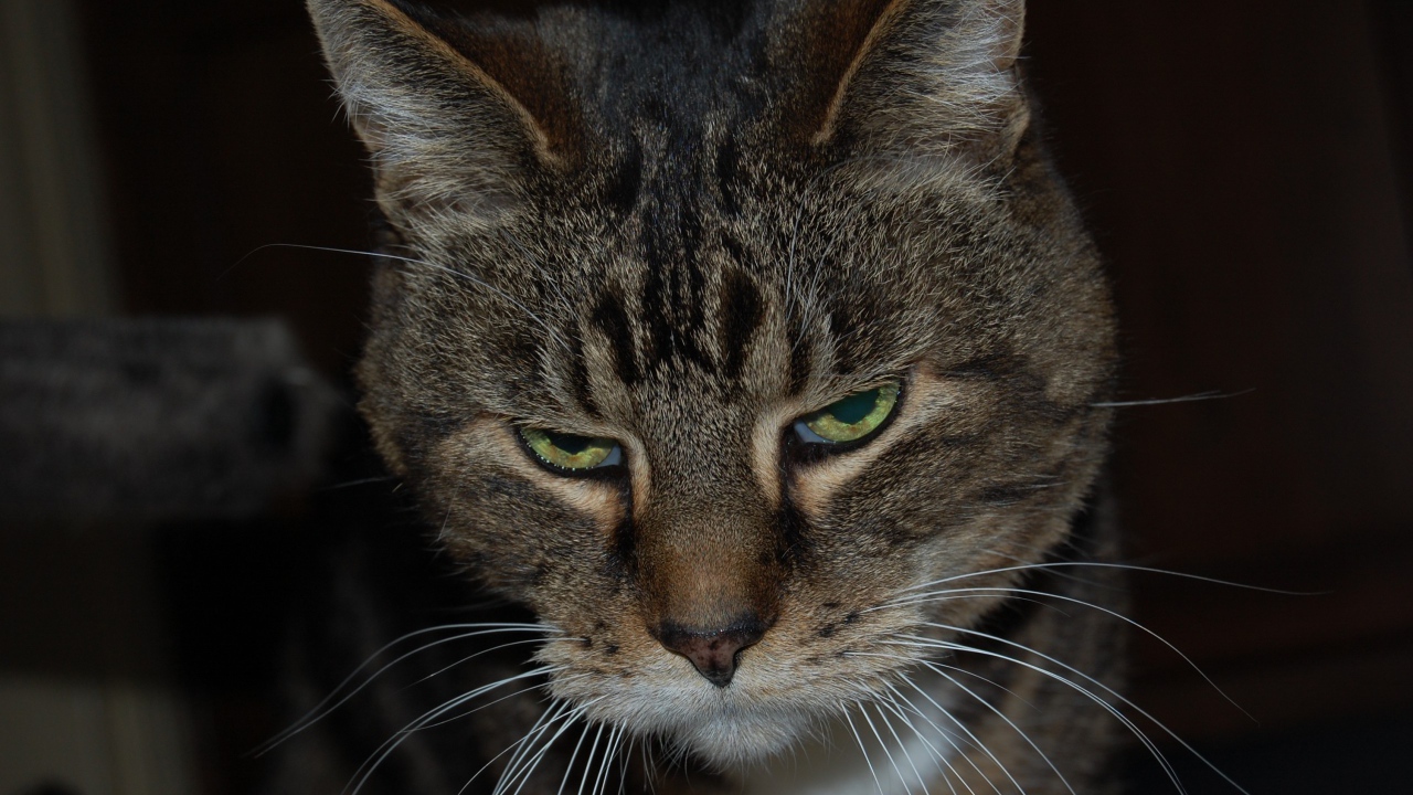 Весна сводит меня с ума